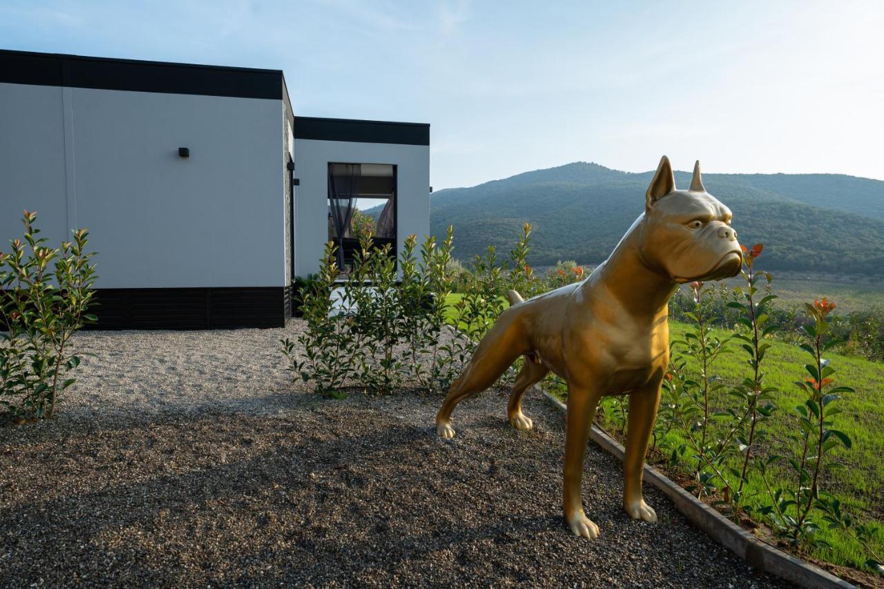 Glamping Sensations Villa